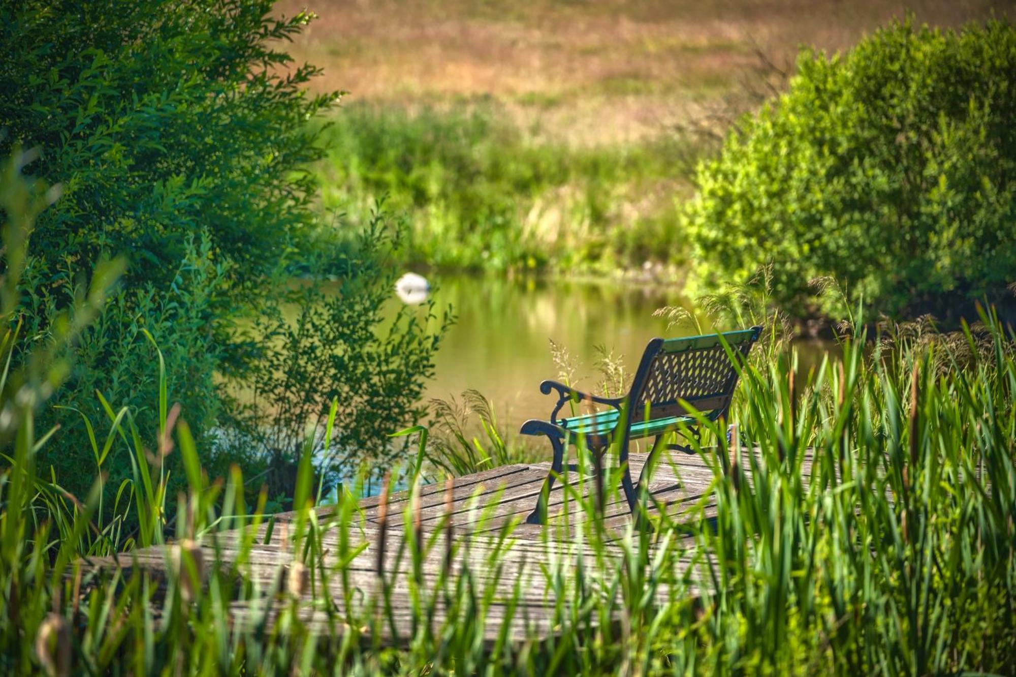 Jora Siedlisko Konuk evi Jora Wielka Dış mekan fotoğraf