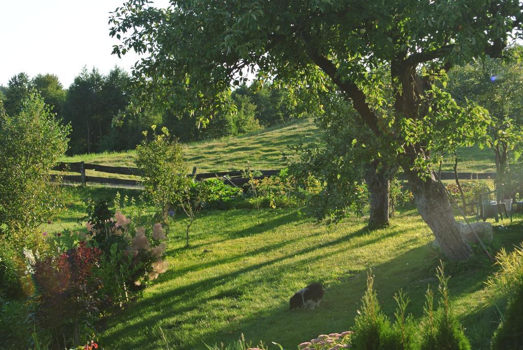 Jora Siedlisko Konuk evi Jora Wielka Dış mekan fotoğraf